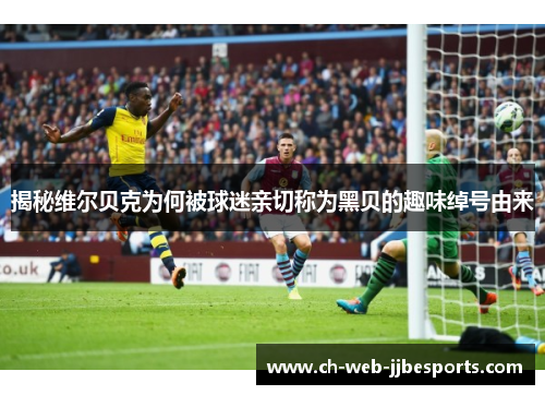 揭秘维尔贝克为何被球迷亲切称为黑贝的趣味绰号由来