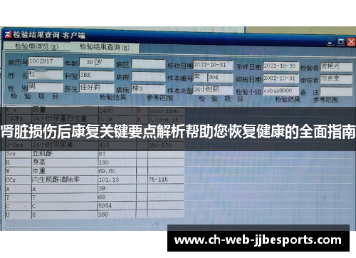 肾脏损伤后康复关键要点解析帮助您恢复健康的全面指南
