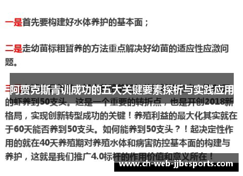 阿贾克斯青训成功的五大关键要素探析与实践应用